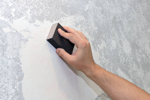 Reliable Cisco, TX Mold Removal Solutions