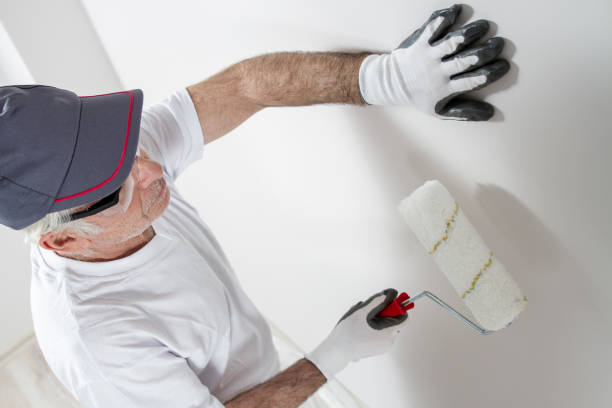 Best Commercial Mold Inspection  in Cisco, TX