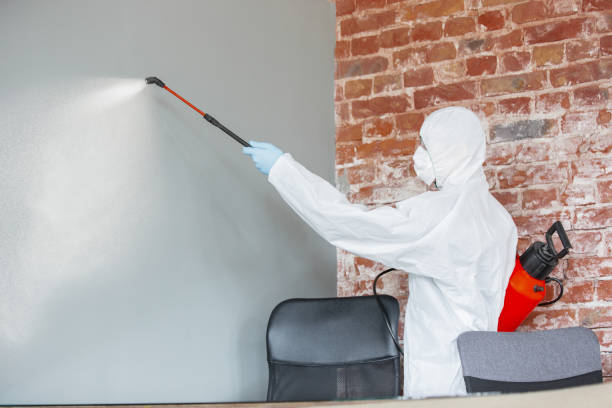 Best Forensic Mold Investigation  in Cisco, TX