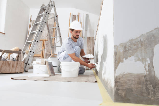 Best Forensic Mold Investigation  in Cisco, TX