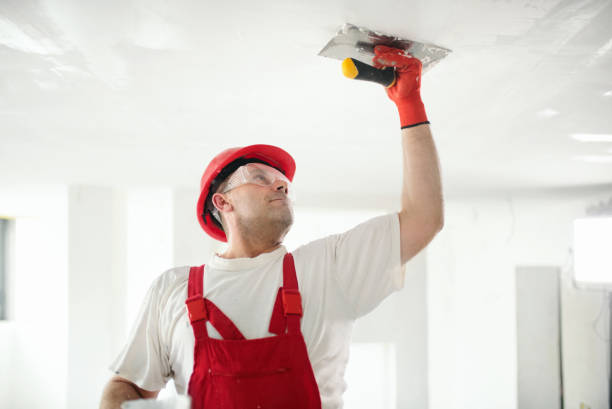 Best Attic Mold Removal  in Cisco, TX