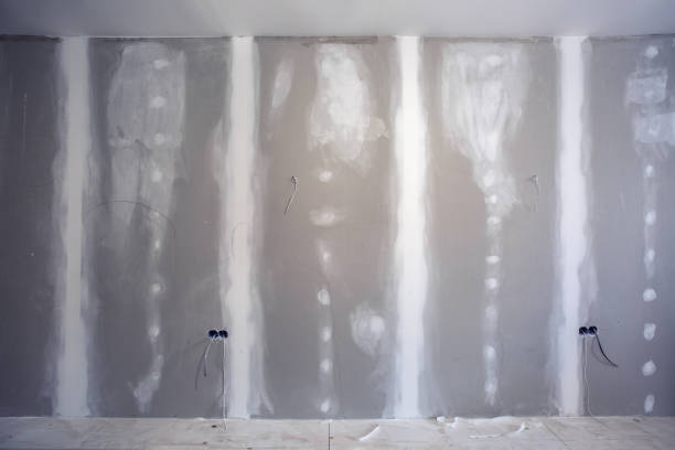 Best Mold Documentation for Insurance Claims  in Cisco, TX